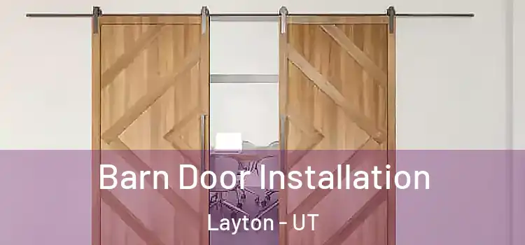  Barn Door Installation Layton - UT