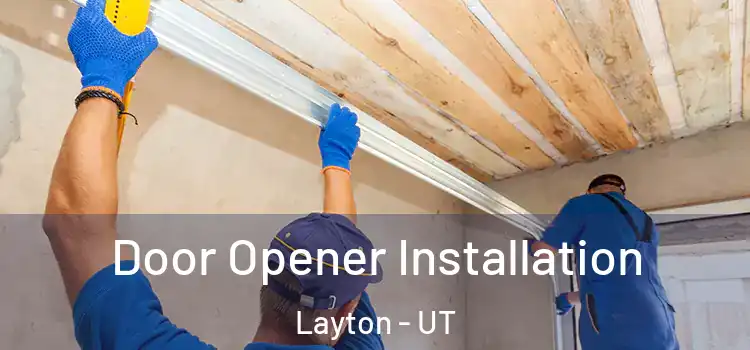  Door Opener Installation Layton - UT
