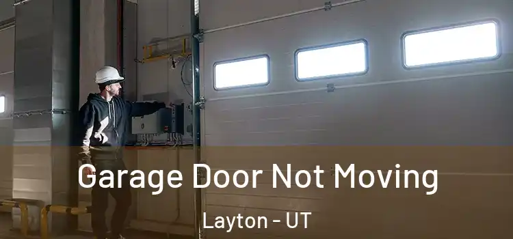  Garage Door Not Moving Layton - UT