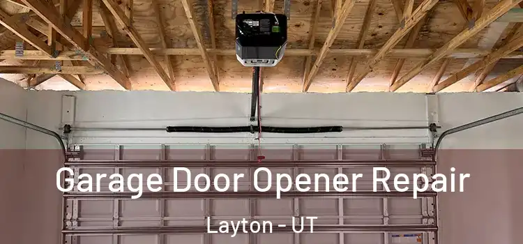  Garage Door Opener Repair Layton - UT