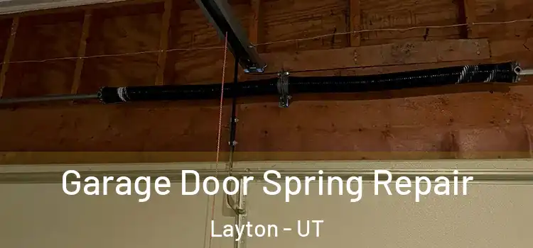  Garage Door Spring Repair Layton - UT