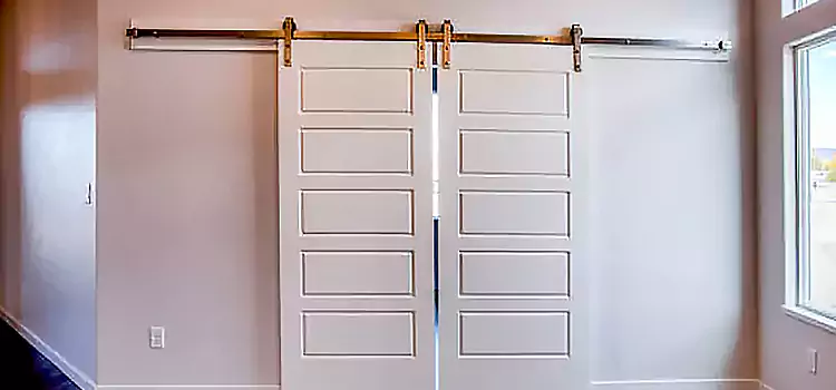Glass Barn Door with Installation Hardware Kit Layton