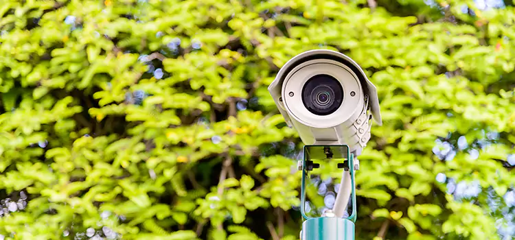 Advanced Surveillance Solutions for Every Need in Layton