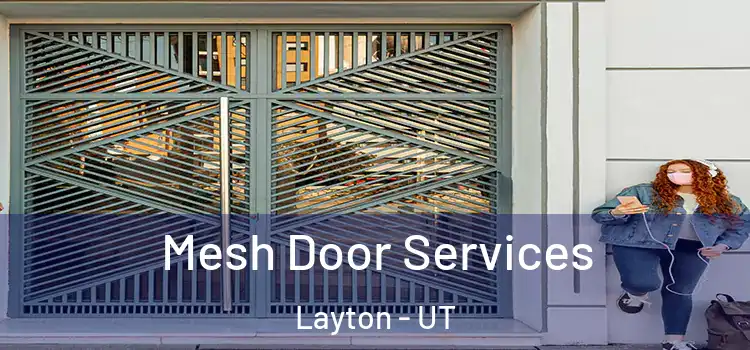  Mesh Door Services Layton - UT