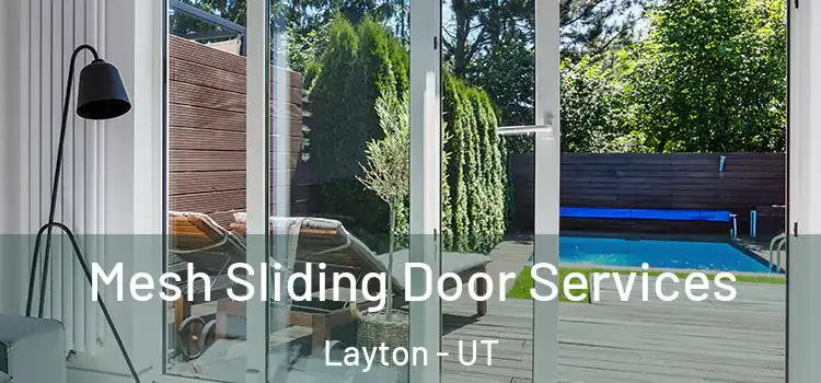  Mesh Sliding Door Services Layton - UT